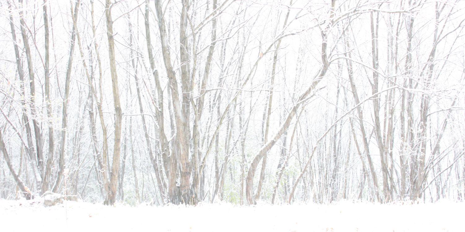 ryu_kyo's profile banner image