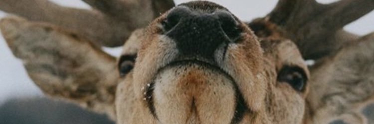 natalie_ode's profile banner image