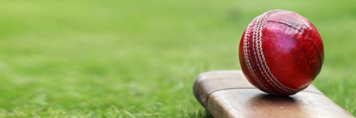 CricAustralia's profile banner image
