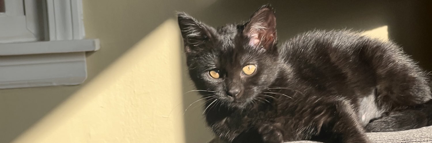 BeccaMCheatham's profile banner image