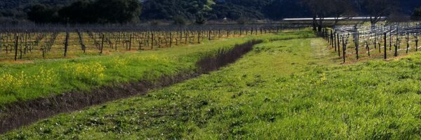 AbiAdamswines Profile Banner