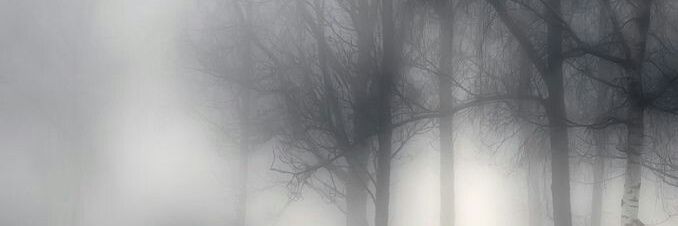 GEvenlight's profile banner image