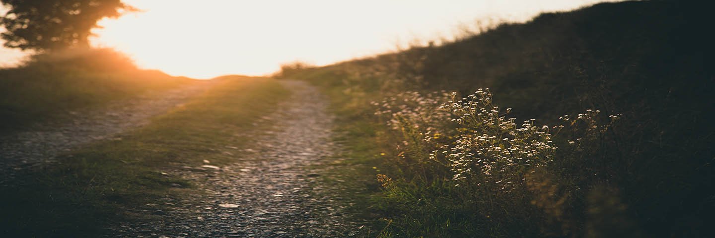 QuitMormon's profile banner image
