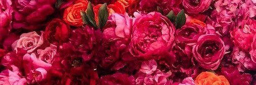 nittasmiles's profile banner image