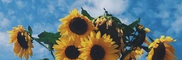 Victoria Anderson banner