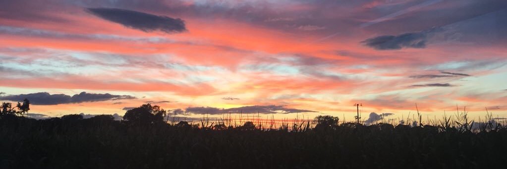 HollyBunkell's profile banner image