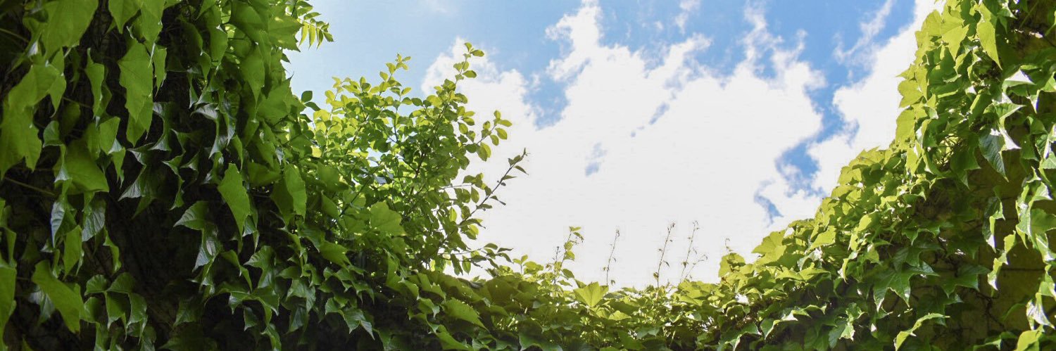 MageeSprague's profile banner image