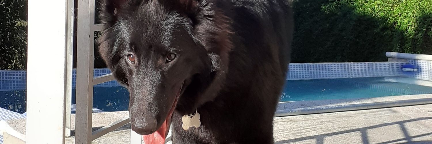 LaNaty #EstoyQExploto banner