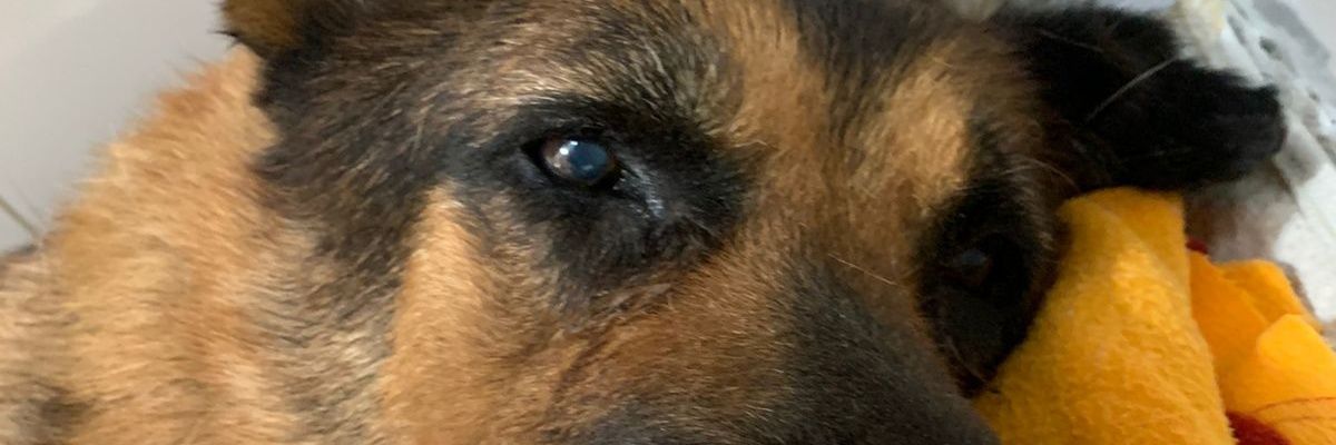 debugandonanda's profile banner image