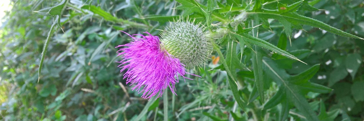 Marek Stasiak banner