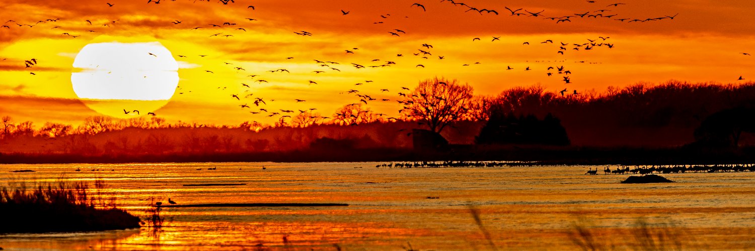 Rowe Sanctuary banner