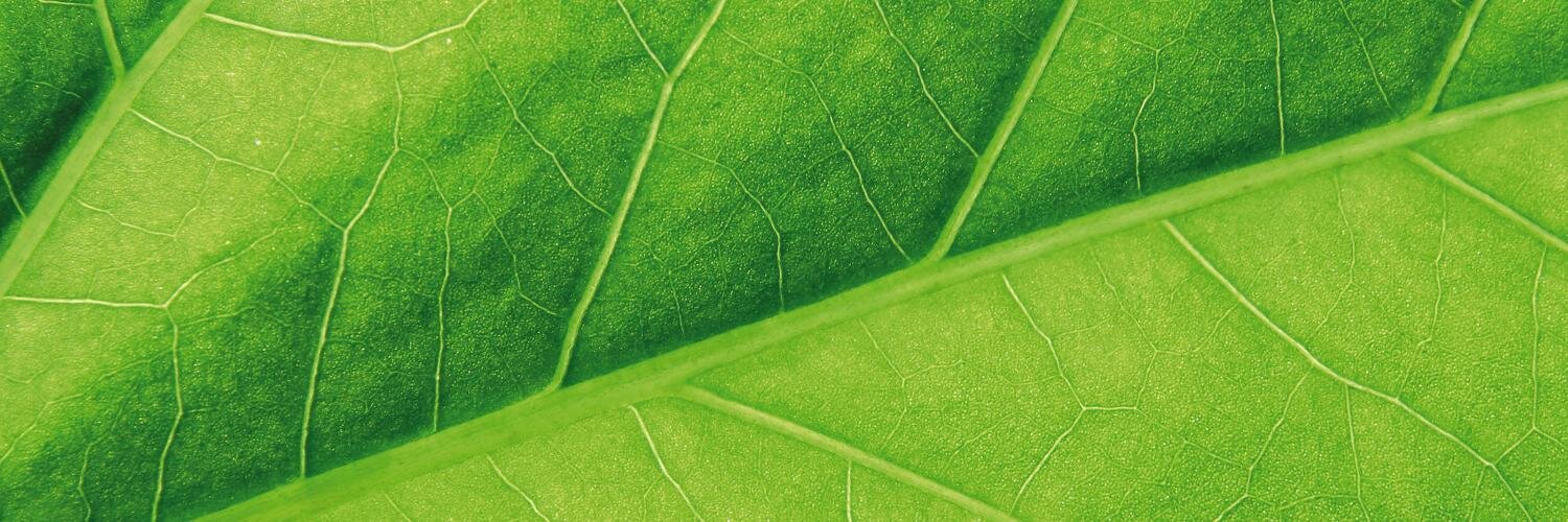 hermansgroep's profile banner image