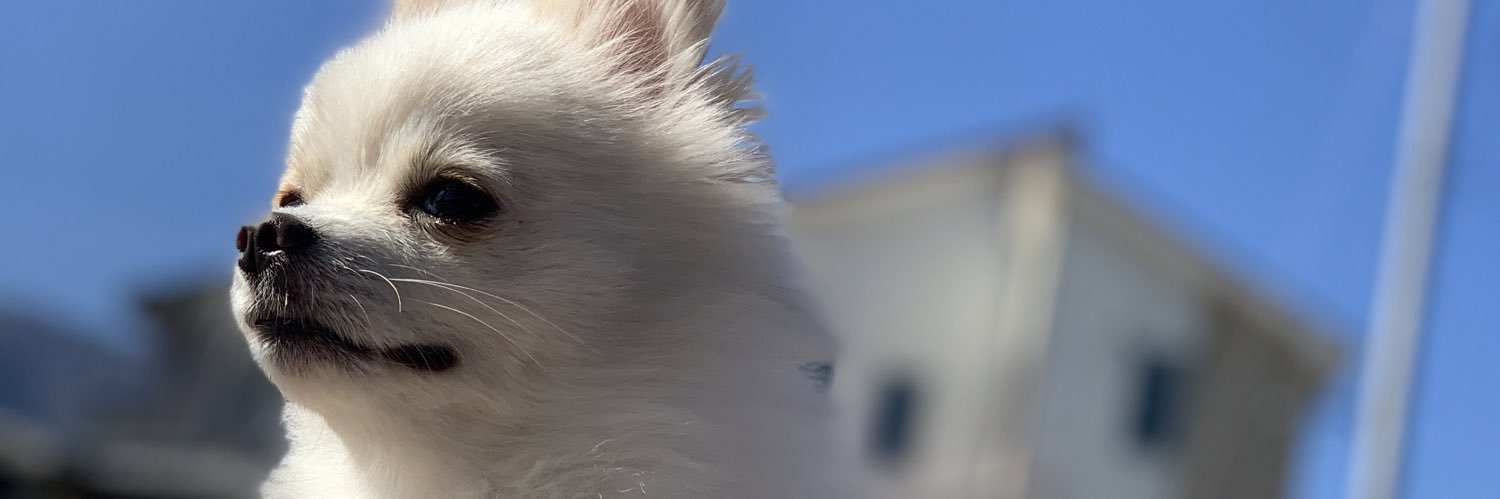 xxxam331's profile banner image