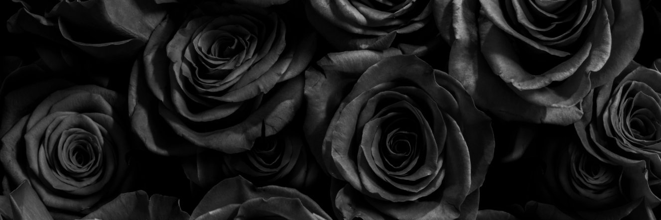 Rose.🌹 banner