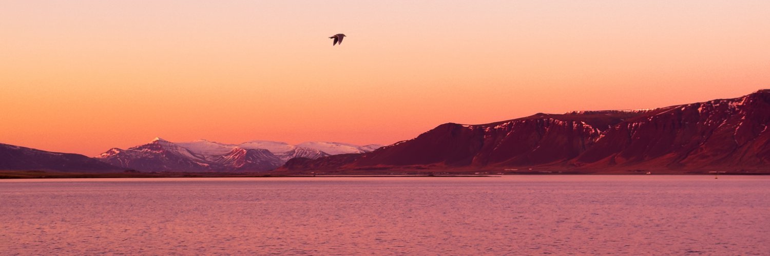 Nick’s Pizza banner