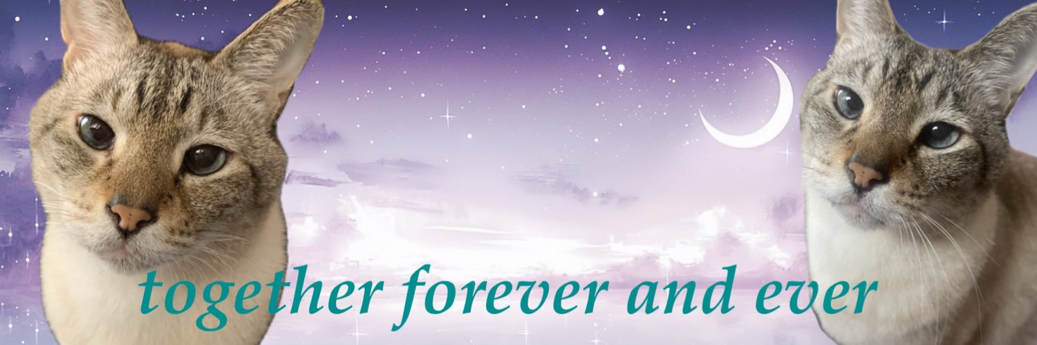 rushuka_kai's profile banner image