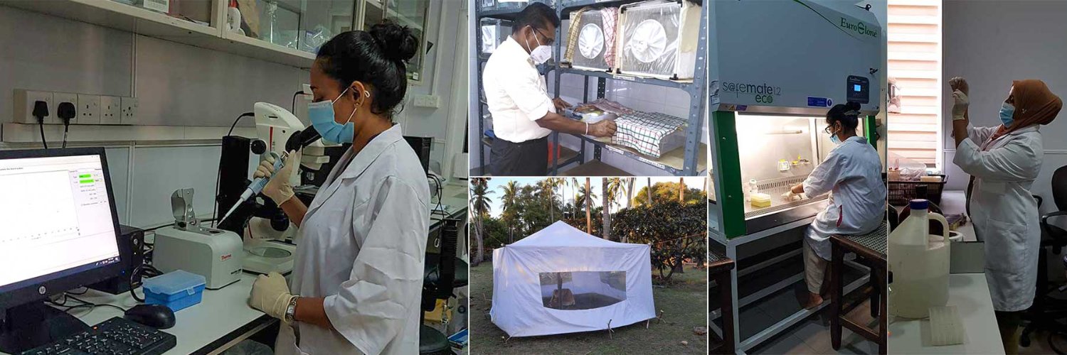 University Colombo banner