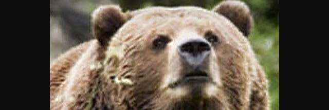 b_griz15's profile banner image