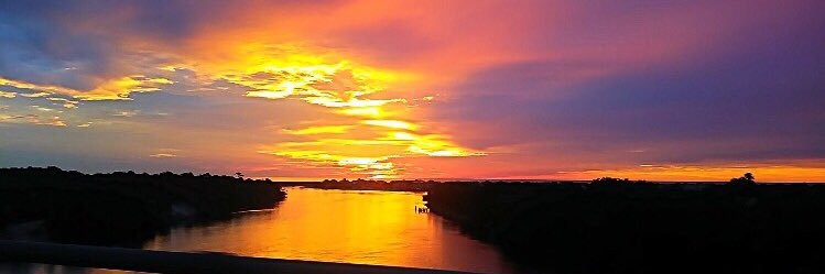 Jennifer O'Connell banner