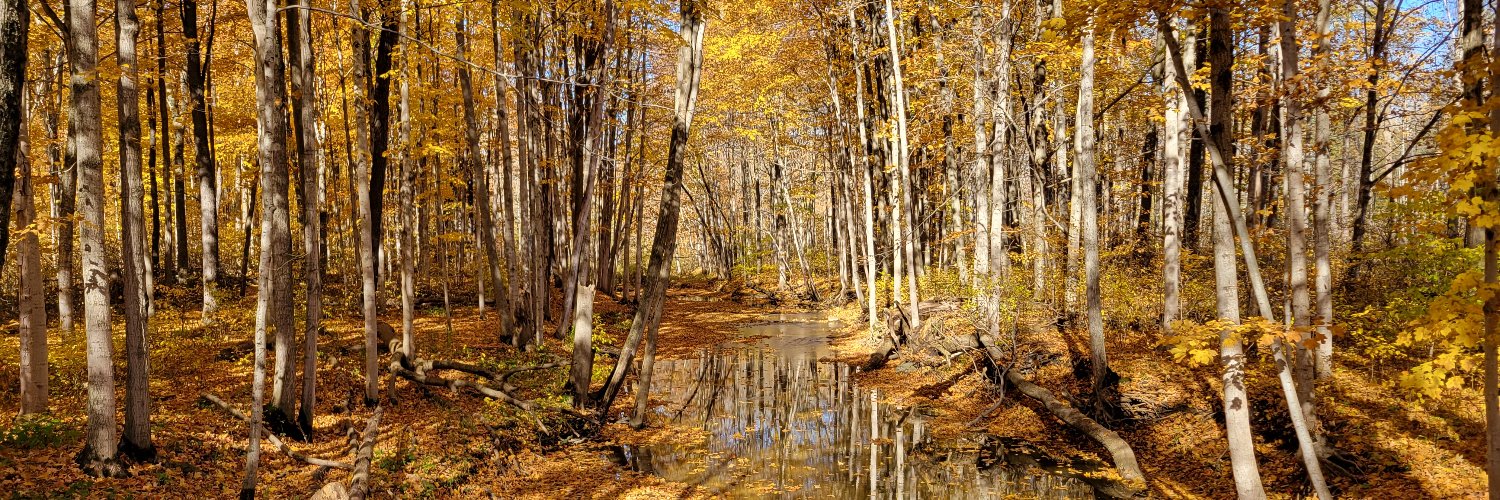 St Clair Conservation banner