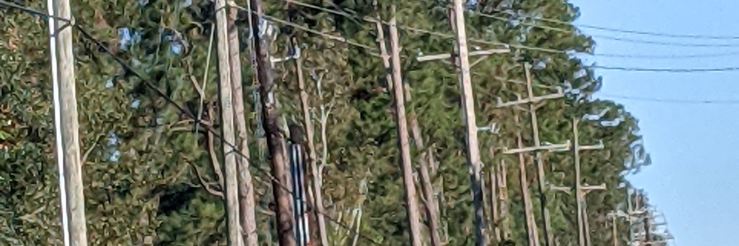 LMVJR1's profile banner image