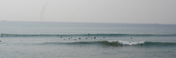 pacificdrivein Profile Banner