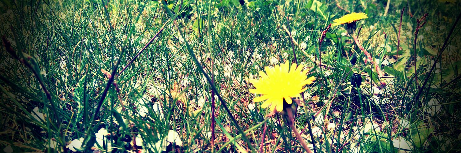 Tiina__V's profile banner image