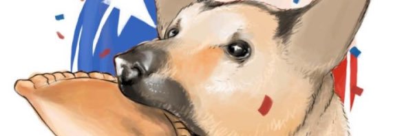 SebastianTgz's profile banner image
