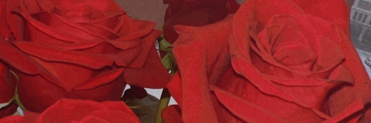 Branderella_'s profile banner image