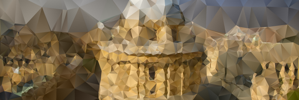 Damian Flannery banner