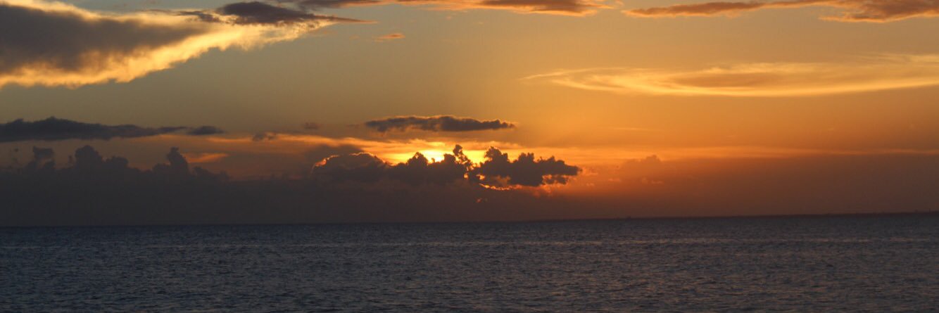 Tracydiiamond's profile banner image