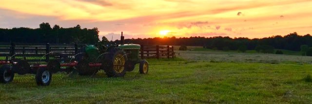wwwilson62's profile banner image