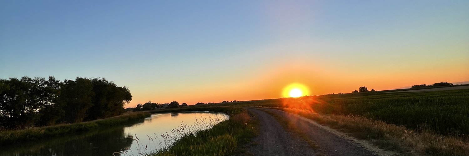 MadisonSidwell's profile banner image