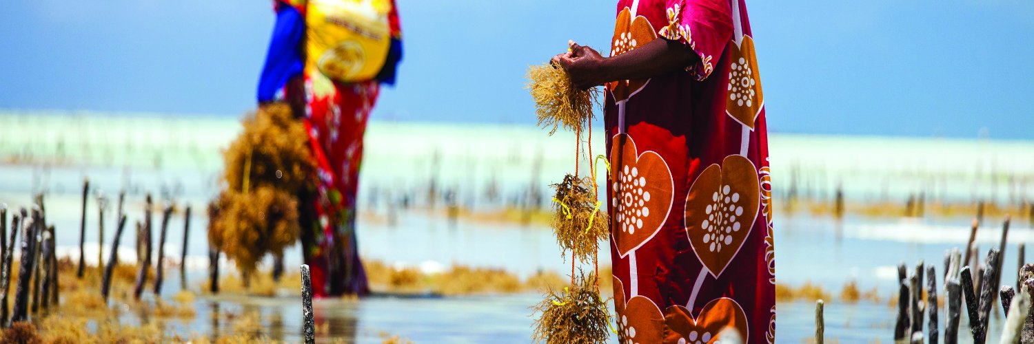 Future Earth Coasts banner