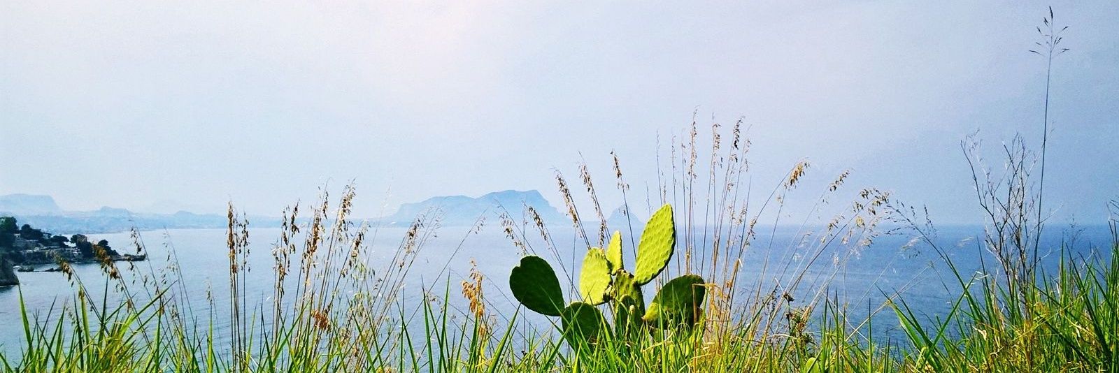 Simone83522035's profile banner image