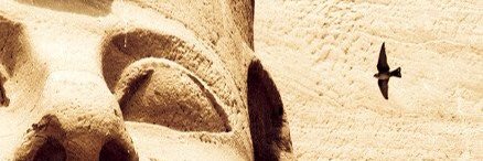 cmedvyk's profile banner image