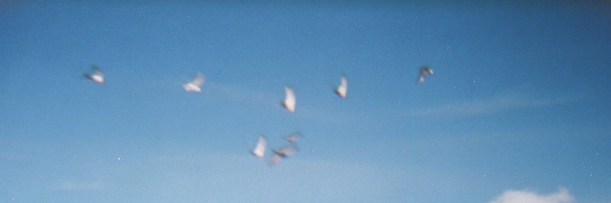 suziekrap's profile banner image