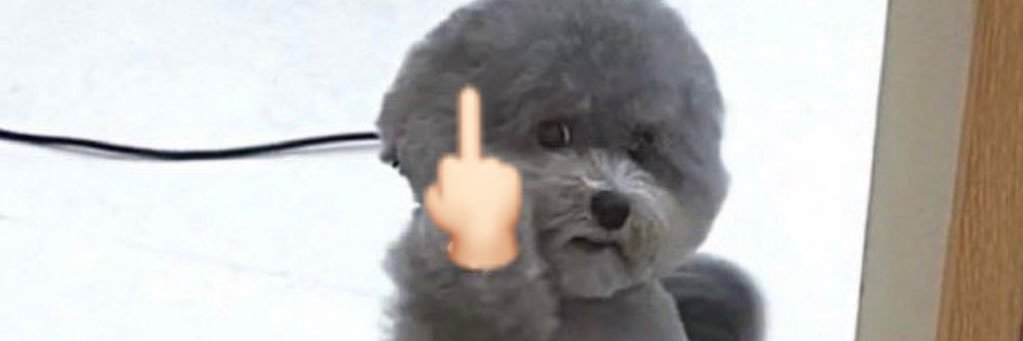 bridiebread's profile banner image