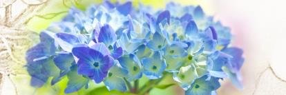 HortenseQ's profile banner image