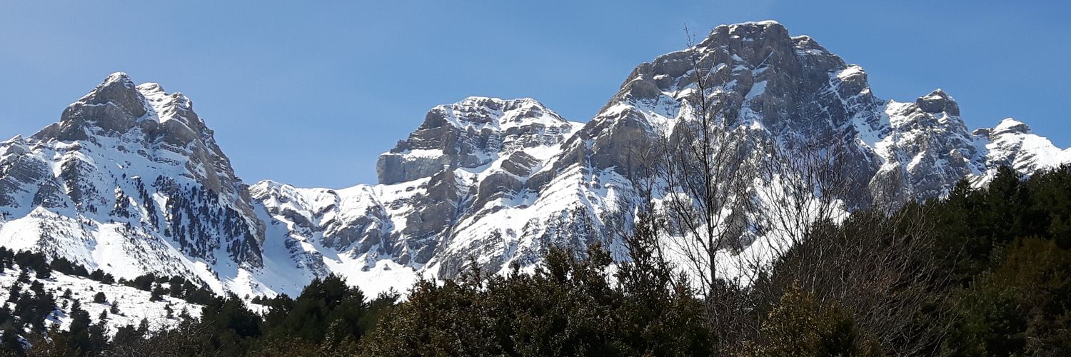Javier Ascaso banner