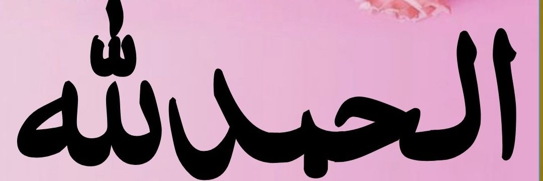 GhazalZakia's profile banner image
