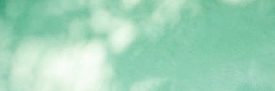 olgaferr0n's profile banner image