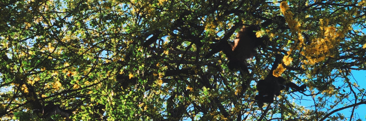 mpaulag03's profile banner image
