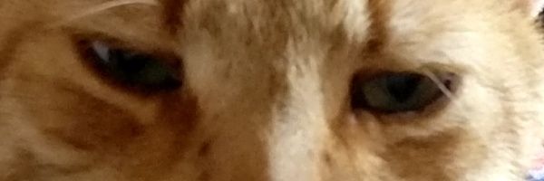 Doecky's profile banner image