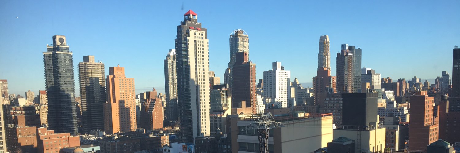 Charlotte Brändström banner