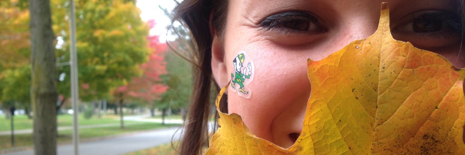 L_Rae_T's profile banner image