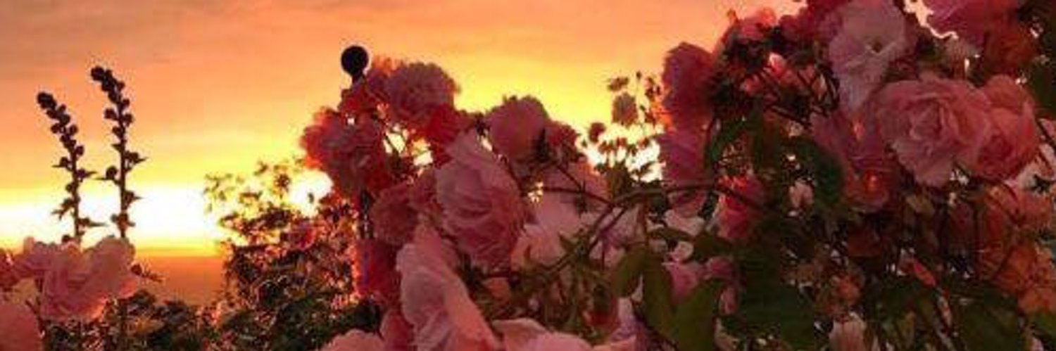 RobynKnowsHowe's profile banner image