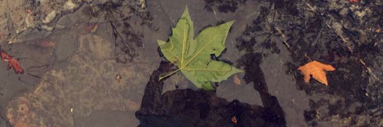 athar_1992's profile banner image