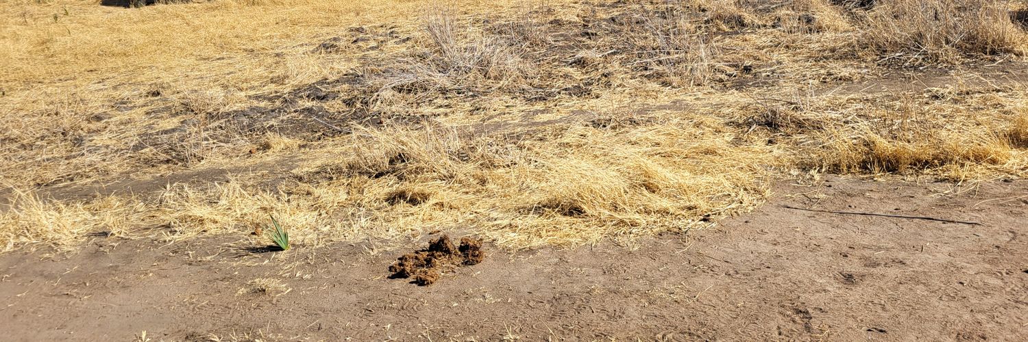 ΨΕΥΤΟΜΟΥΦΤΗΣ banner