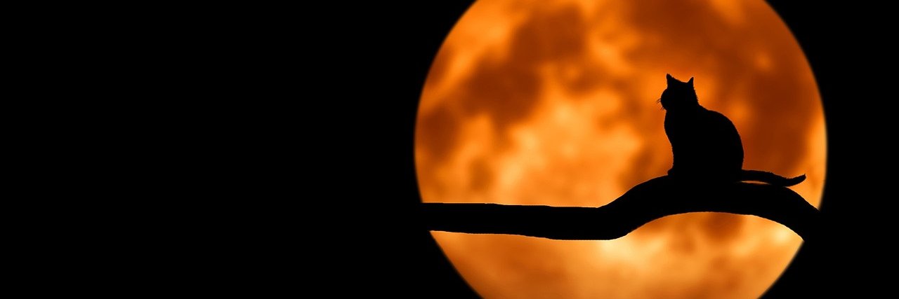 MoonlightLead's profile banner image